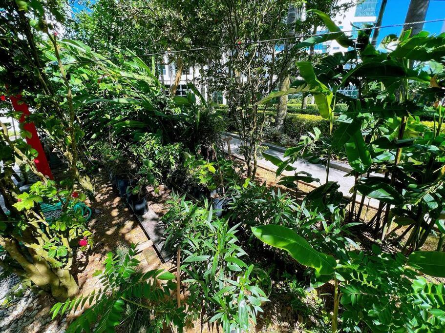 B1003 Haven Sea View Netflix100mbps By Apartment *